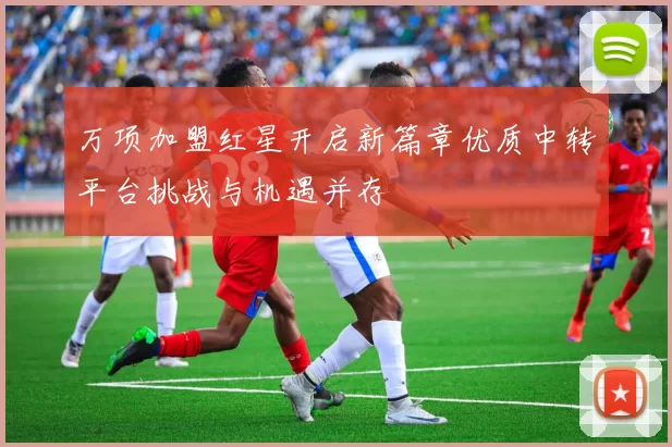 万项加盟红星开启新篇章优质中转平台挑战与机遇并存